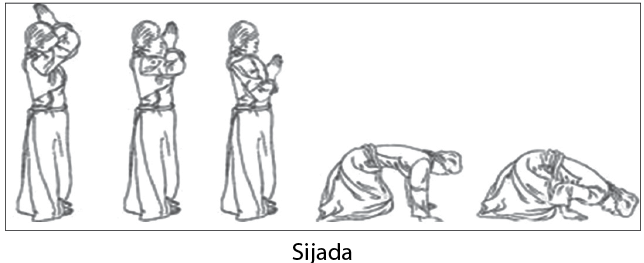 Sijada and Paibos