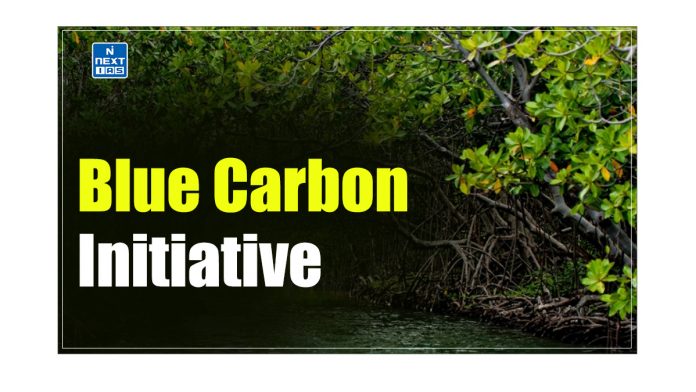 Blue Carbon Initiative