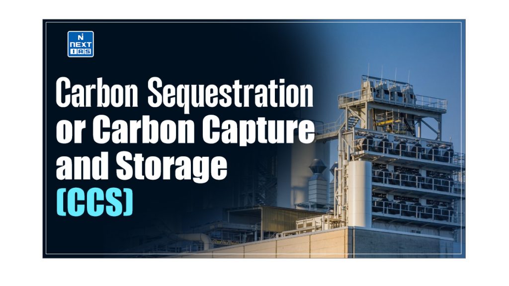 Carbon Capture and Sequestration (CCS)