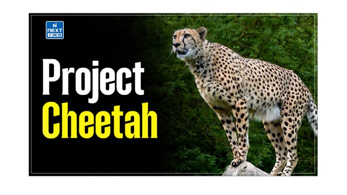 Project Cheetah in India