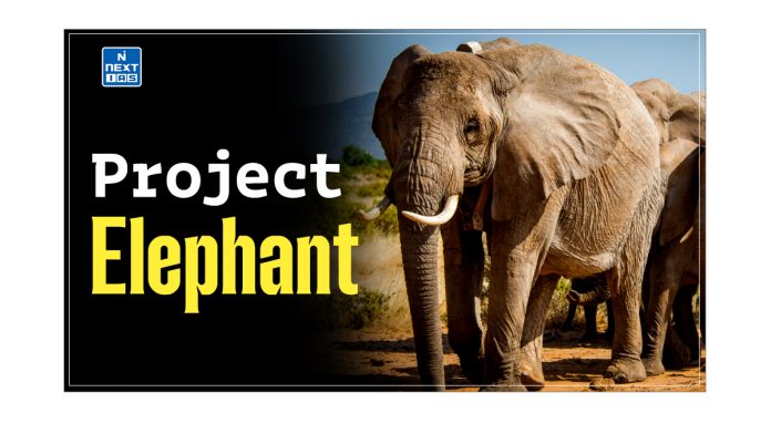 Project Elephant in India