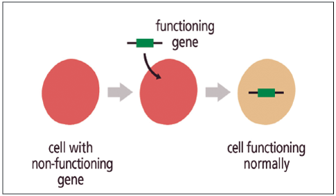 Gene Augmentation Therapy