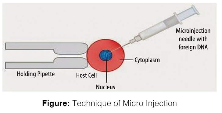 technique of micro injection