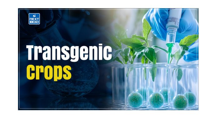 Transgenic Crops