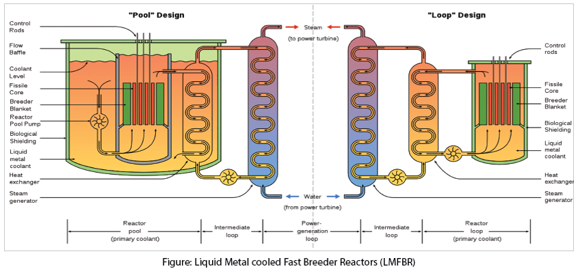 Liquid Metal Cooled Fast Breeder Reactors (LMFBR)