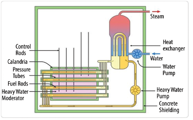 Pressured Heavy Water Reactor