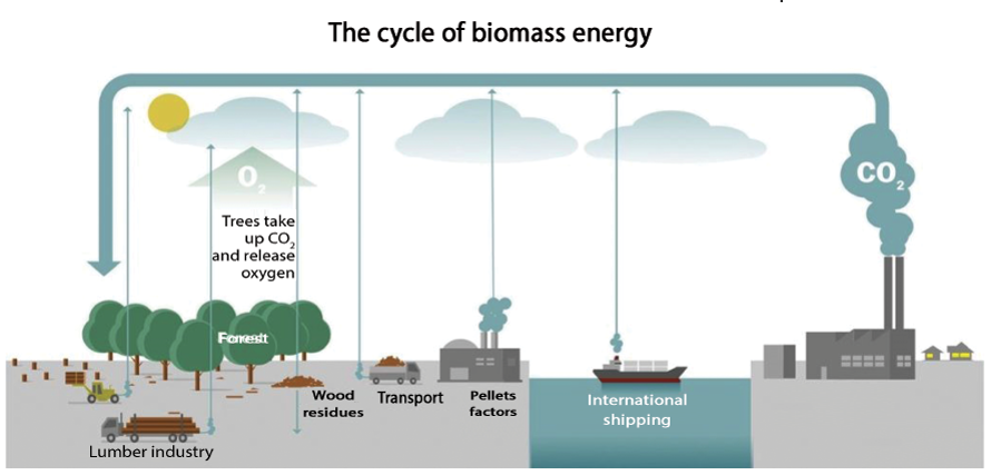 Cycle of Biomass Energy