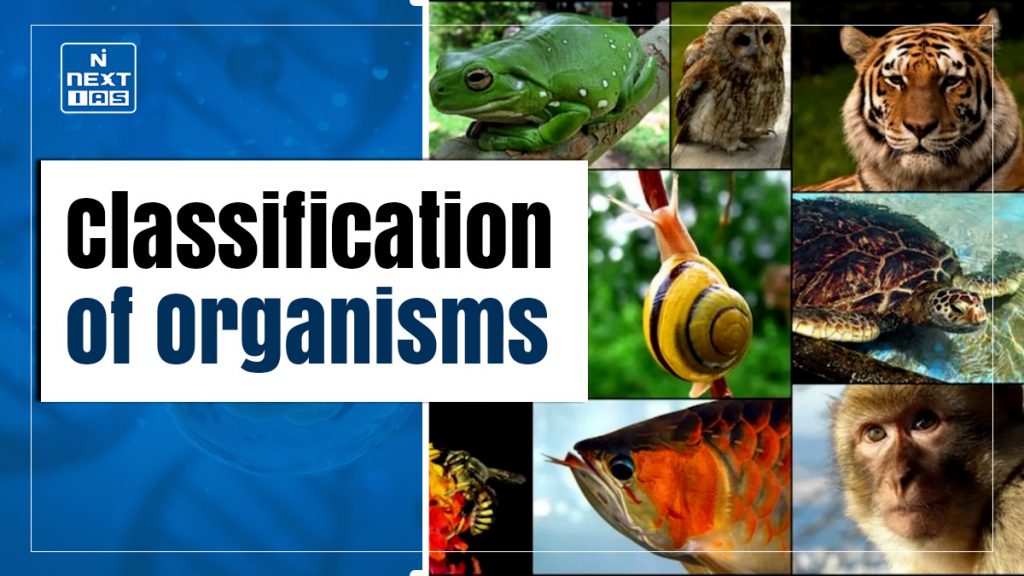 Classification of Organisms