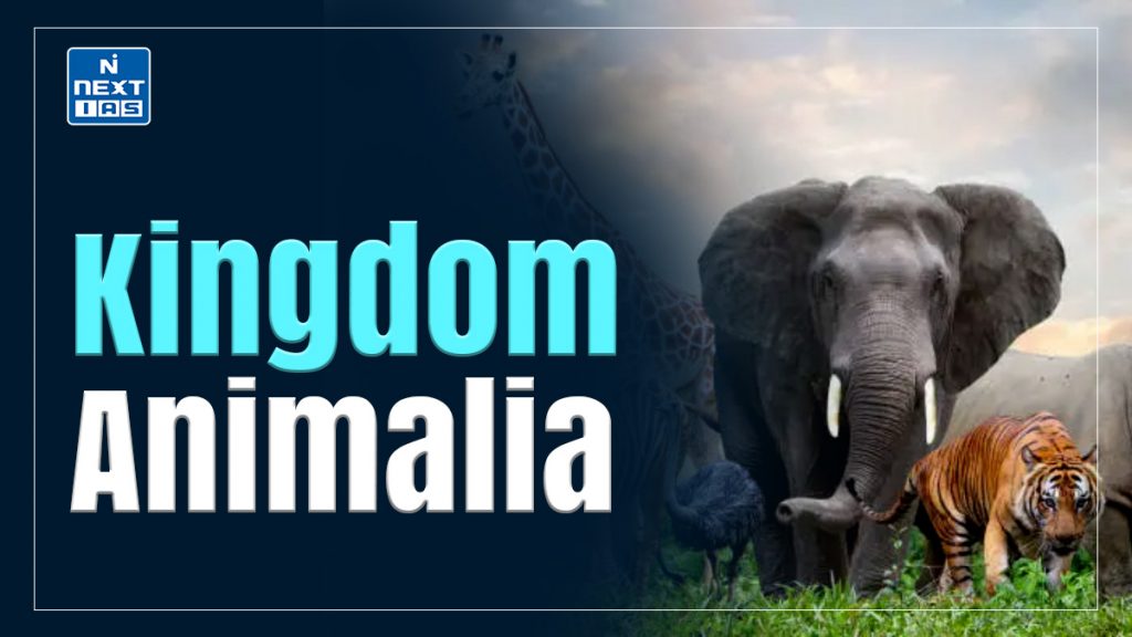 Kingdom Animalia