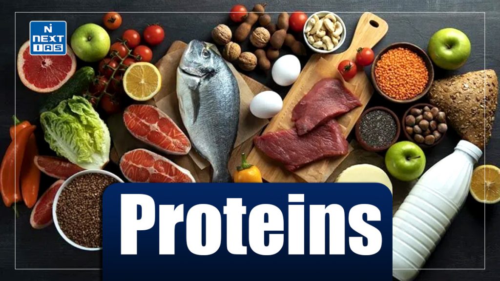 Proteins