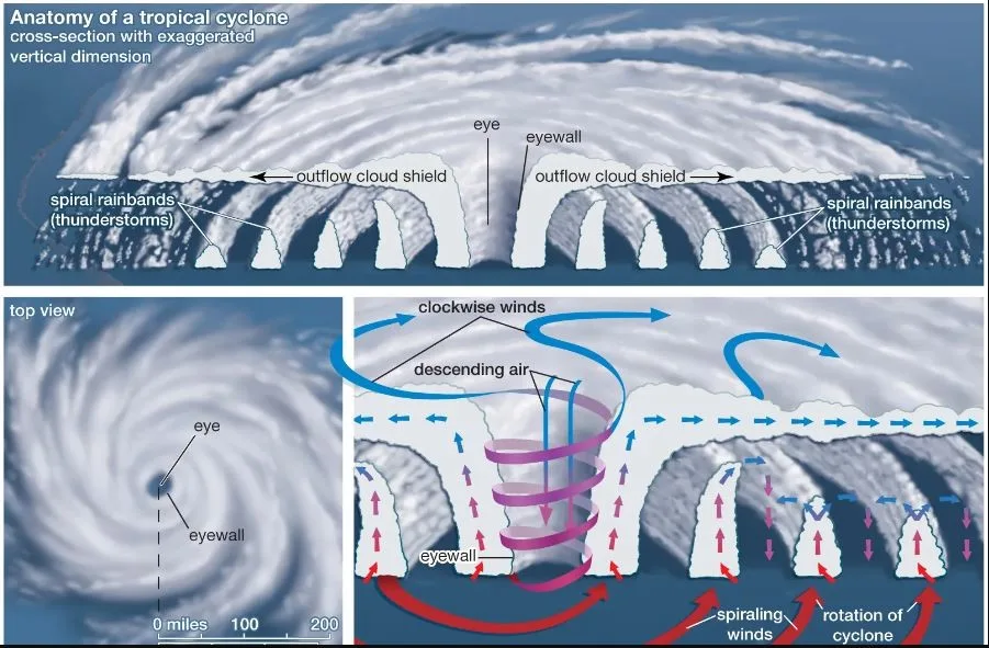 Cyclonic Circulation