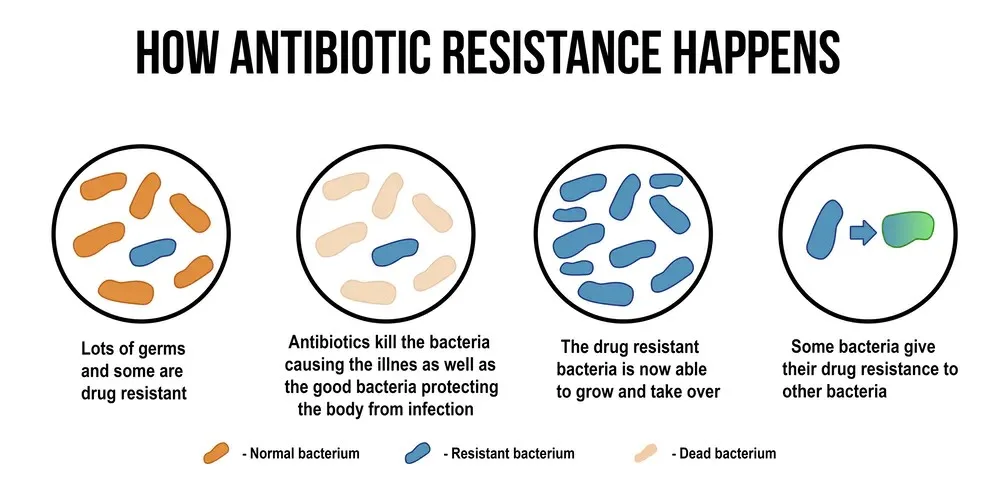 antimicrobial resistance