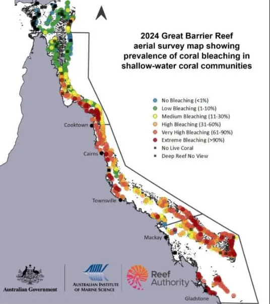 Fourth-Global-Coral-Bleaching-Event