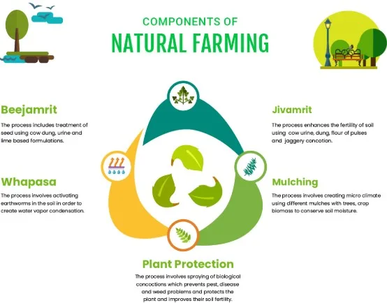 Components-of-Natural-Farming