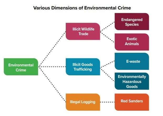 various-dimensions-of-environmental-crime