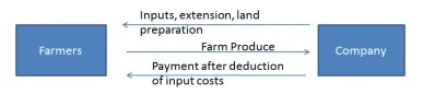 Direct-Input-Provision-by-the-Company