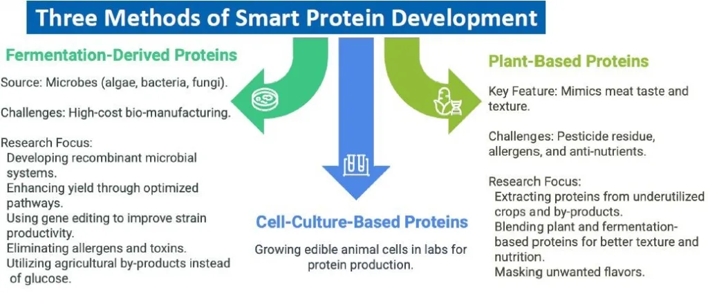 Smart Proteins