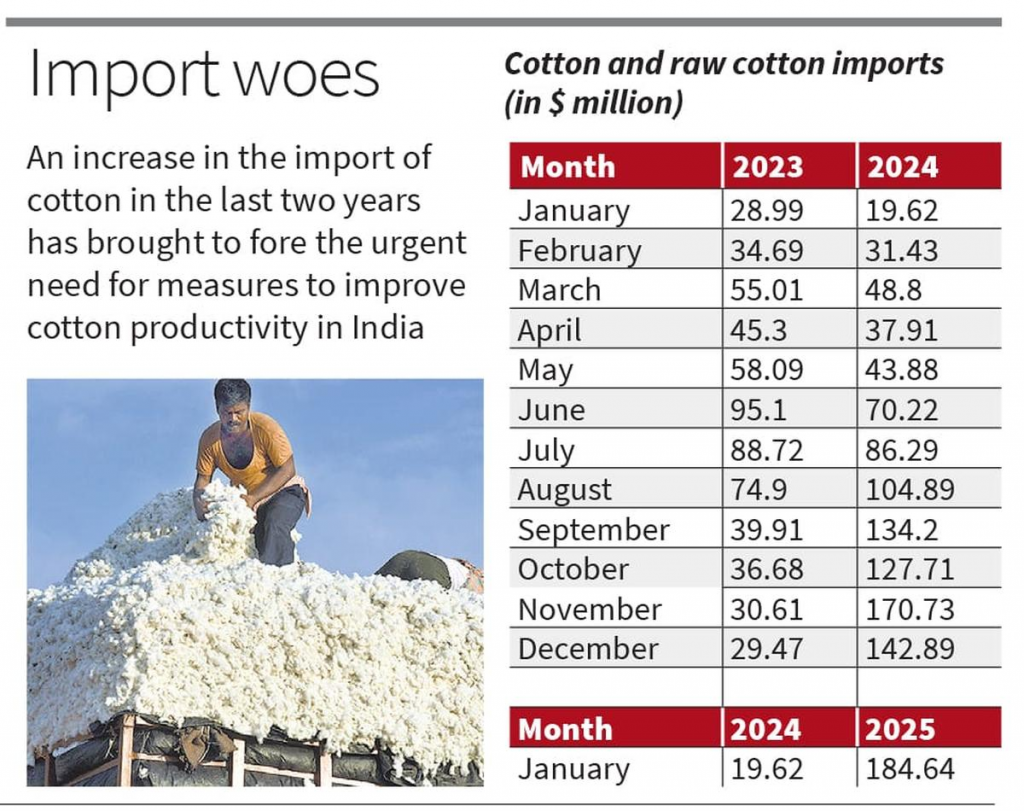 Surge in Indias Cotton Imports