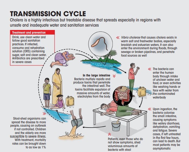 Transmission-cycle