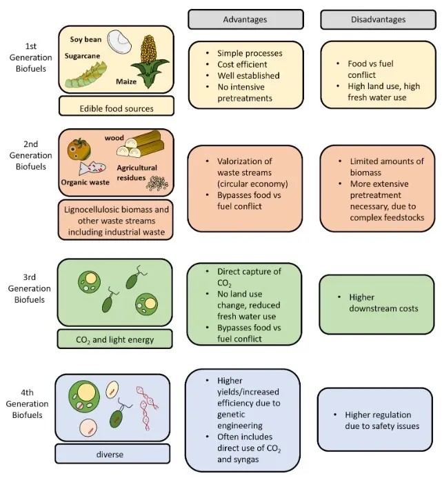 biofuel
