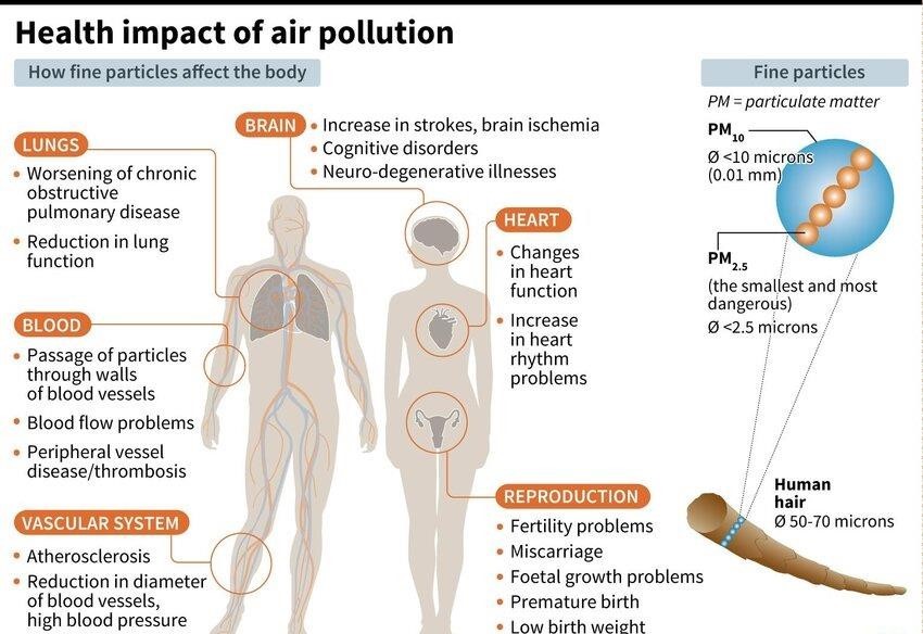 health-impact-of-air-pollution