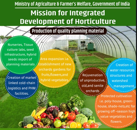 mission-for-integrated-development-of-hoticulture