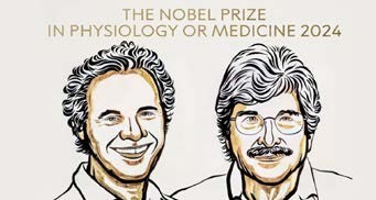 nobel-prize-in-physisology-or-medicine-2024