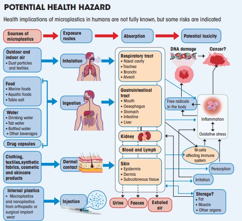 potential-health-hazard