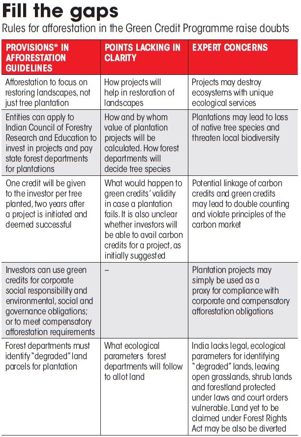 rules-for-afforestation