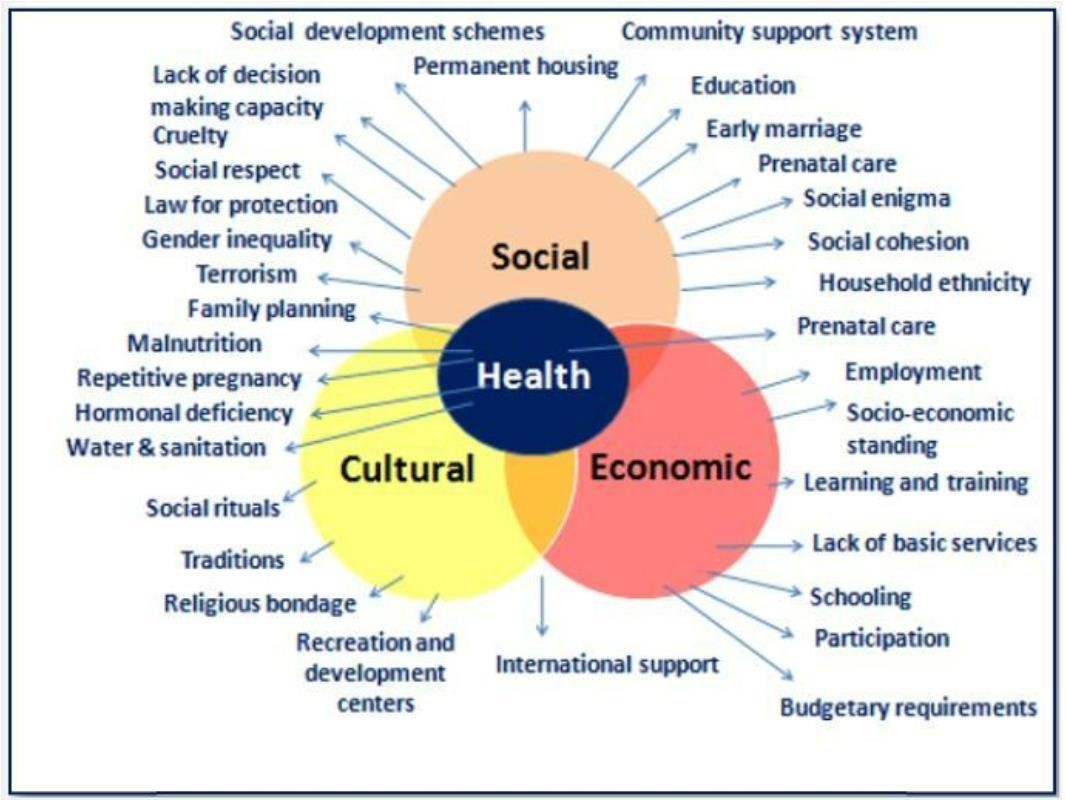 social,health,cultural,economic