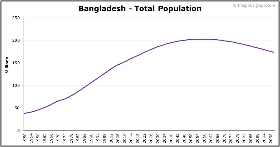 total population